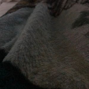 Meet your Posher, Noah